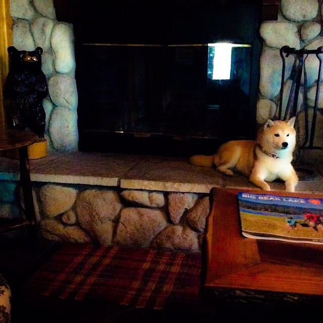 爱游戏在线登录入口-“史诗逆转！球队X在最后两局实现惊天大逆袭”