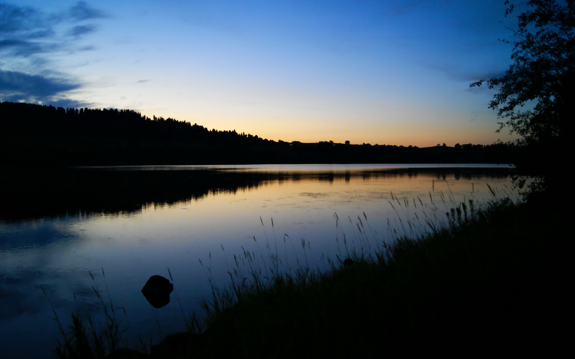 “巨星争霸:联盟最顶尖的明星正面对决”,巨星联盟团队
