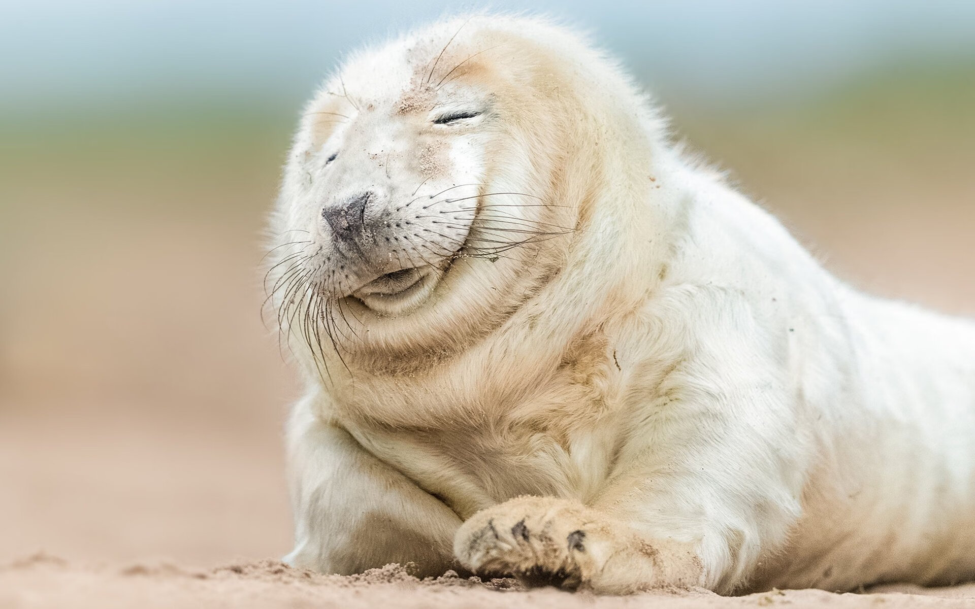 爱游戏在线登录入口-“青少年足球装备升级，专业化设备普及全国”，青少年足球比赛用鞋规定