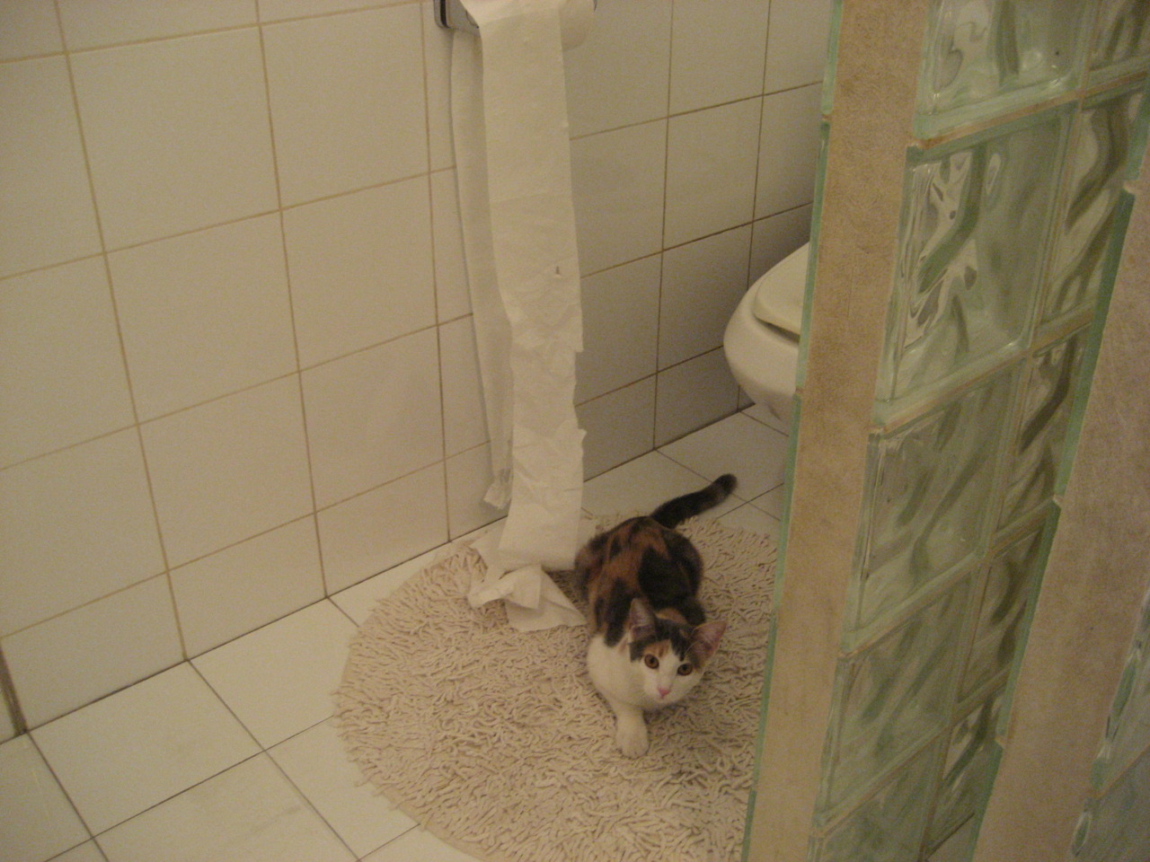 《2025英雄联盟季中赛,传奇再次上演》,2050年英雄联盟总决赛