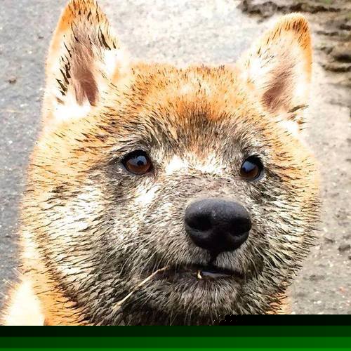 爱游戏-宏观观察：联盟赛季走势的趋势分析，2021年联盟赛季