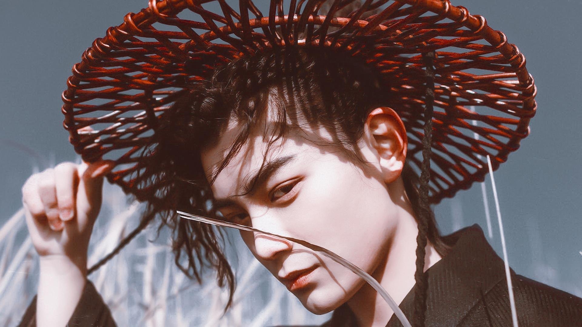 守望先锋世界联赛全面展开,团战策略极限挑战,守望先锋联赛世界杯