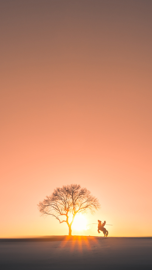 特色风筝巡游运动会,空中艺术盛宴,运动风筝比赛视频