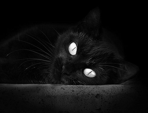 赛季大事回顾:少不了的十场关键比赛,比赛季节