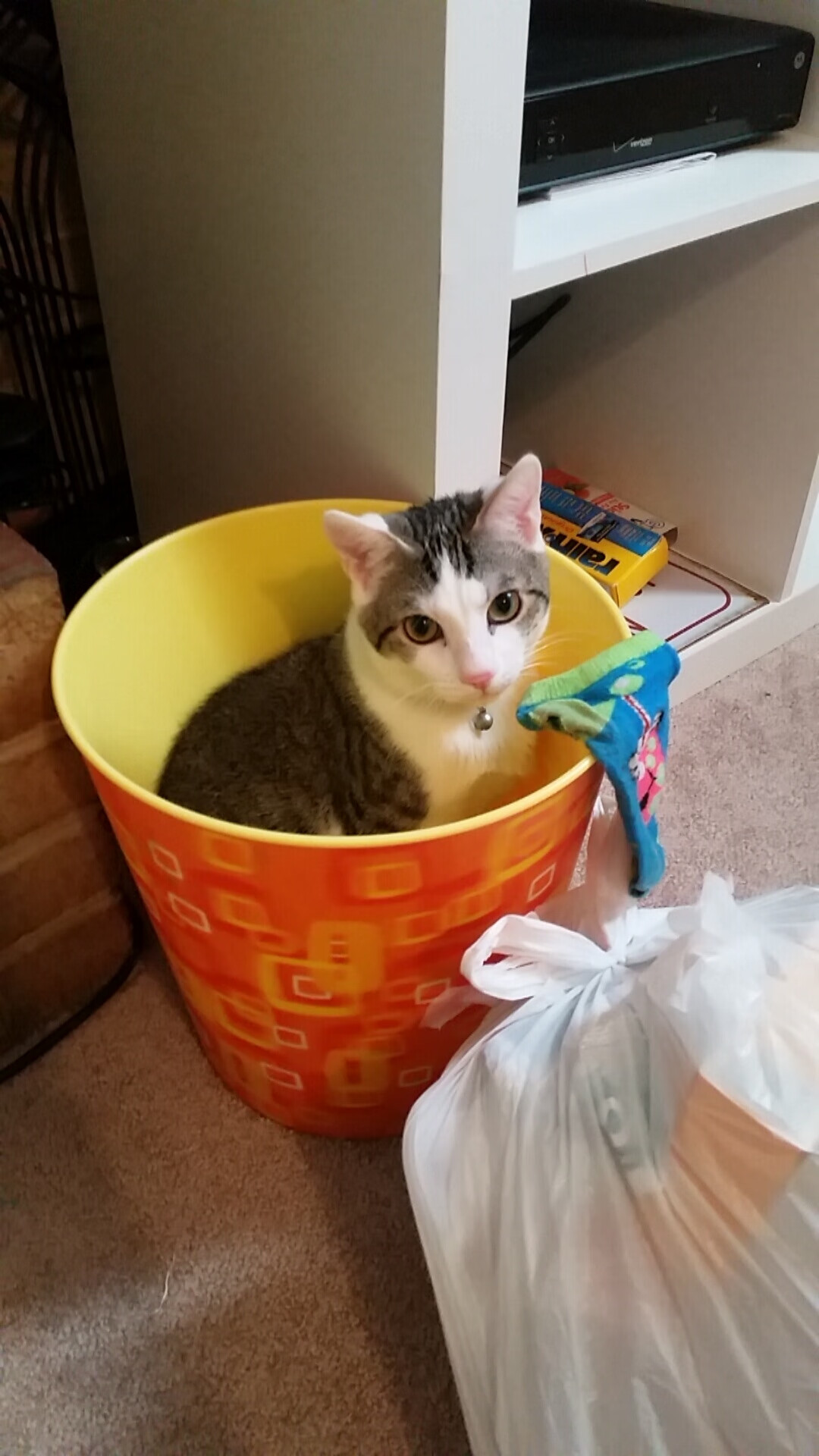 足球设施升级改造,改善训练条件,专业足球场改造