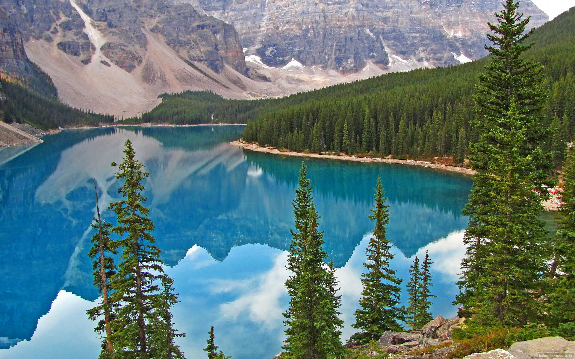 青少年“拼搏奋进”公益志愿者在全国多个城市开展青春助力公益行动