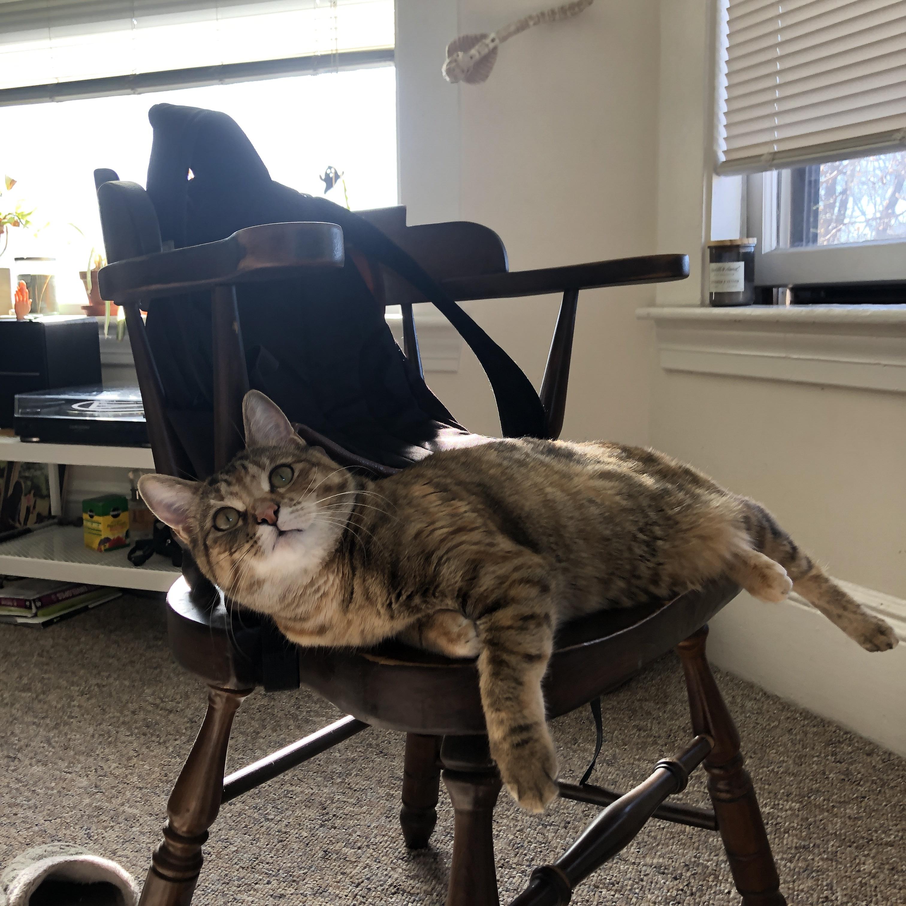 《约基奇表现出色，带领球队拼搏至最后一刻》，约基奇全名叫什么