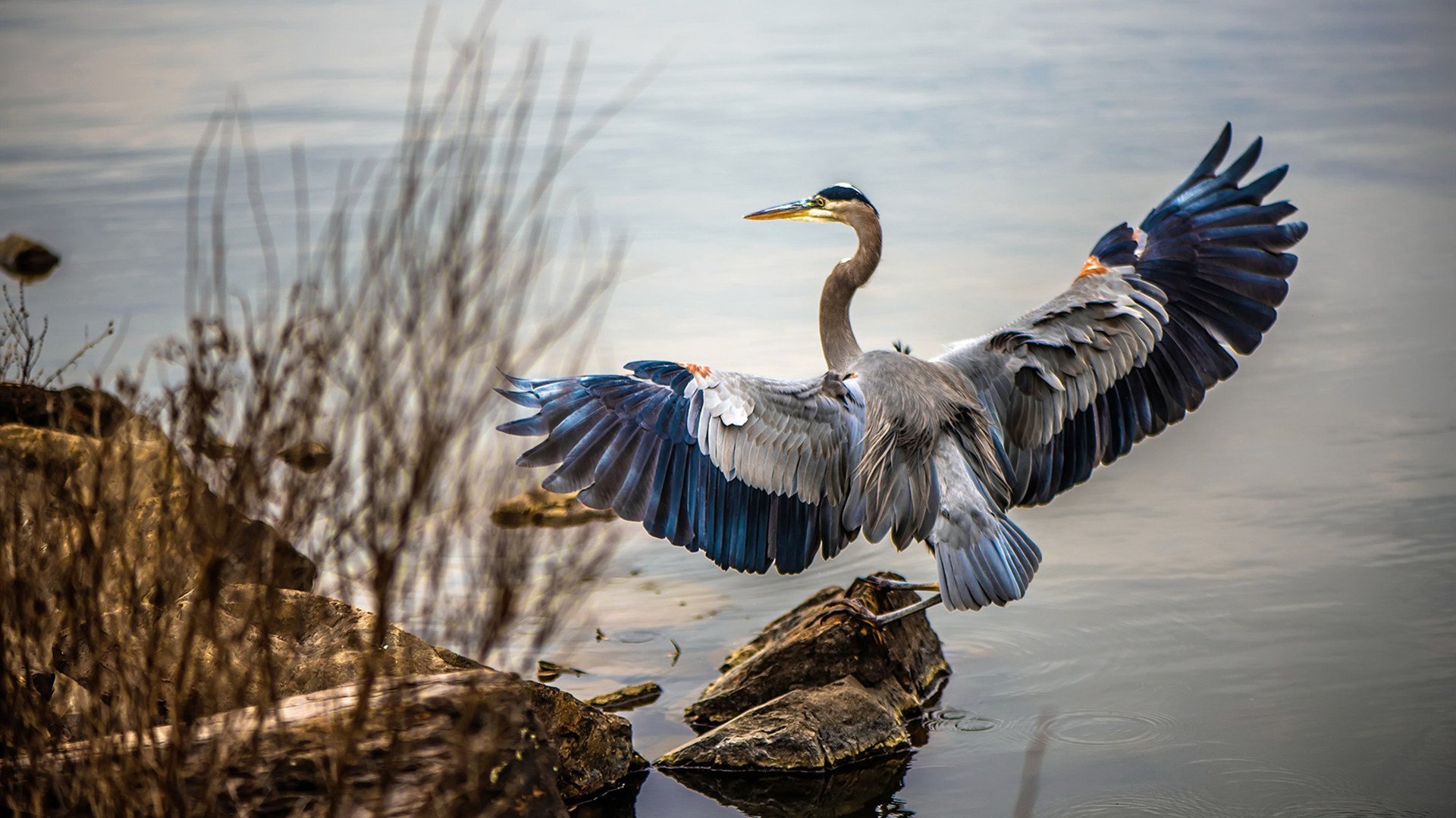 爱游戏体育APP下载-利物浦在欧冠小组赛中全胜晋级，利物浦欧冠捧杯