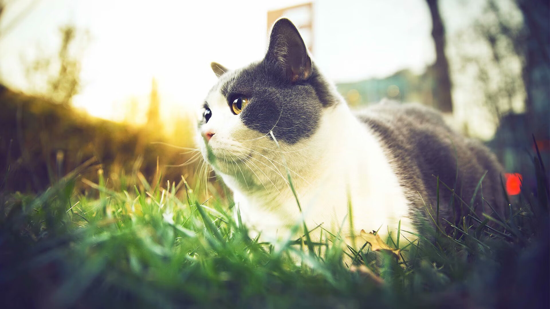 尤尔根·克洛普宣布赛季末离任利物浦主帅,克洛普之前的利物浦主帅