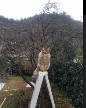 世界男子网球大师赛纳达尔再登巅峰,网球纳达尔比赛视频直播