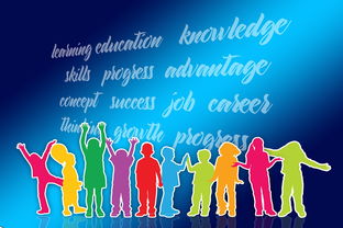 爱游戏平台-中国篮球职业联赛品牌战略及市场推广研究，中国的职业篮球联赛