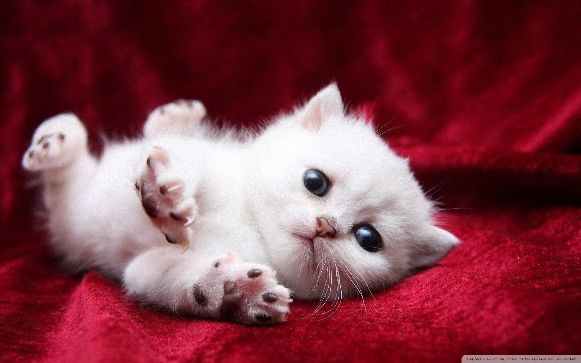 体育教学个性化评价体系设计创新,体育教学评价指标