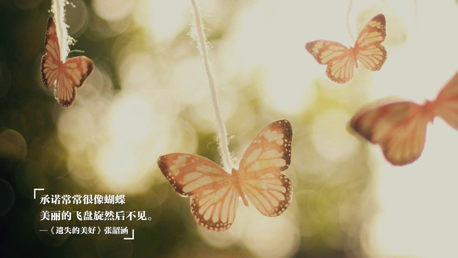 勒沃库森锋线火力全开稳居积分榜前列,勒沃库森首发