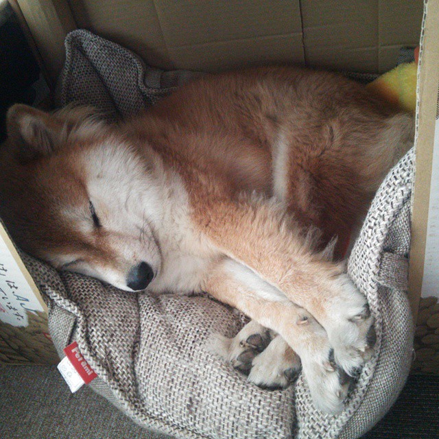 快节奏打法中是否更容易出现防守断层,快节奏定义