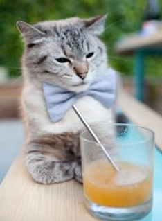 爱游戏娱乐平台-南非跳水组合配合完美无瑕，南非跳伞