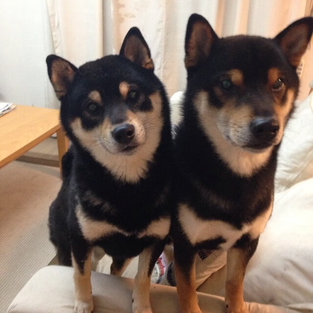 巴雷特:凭借高效的进攻组织,带领全黑队打出流畅配合,巴雷特m