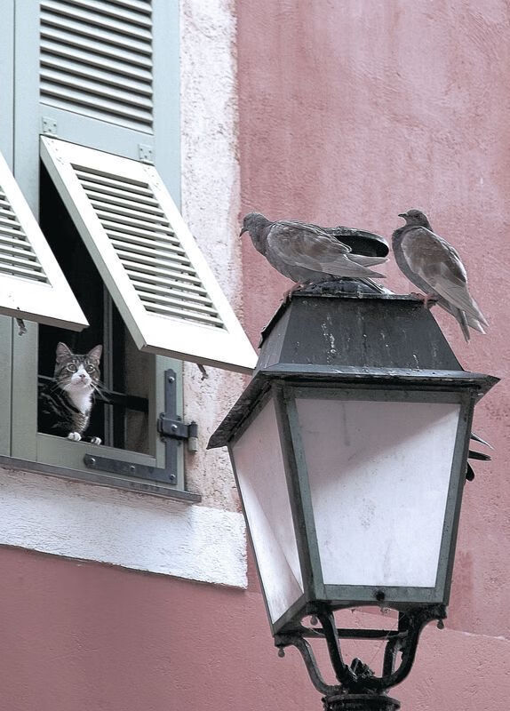 爱游戏体育平台-欧洲杯战术革新：变化多端，令人期待！，欧洲杯各个球队技战术打法