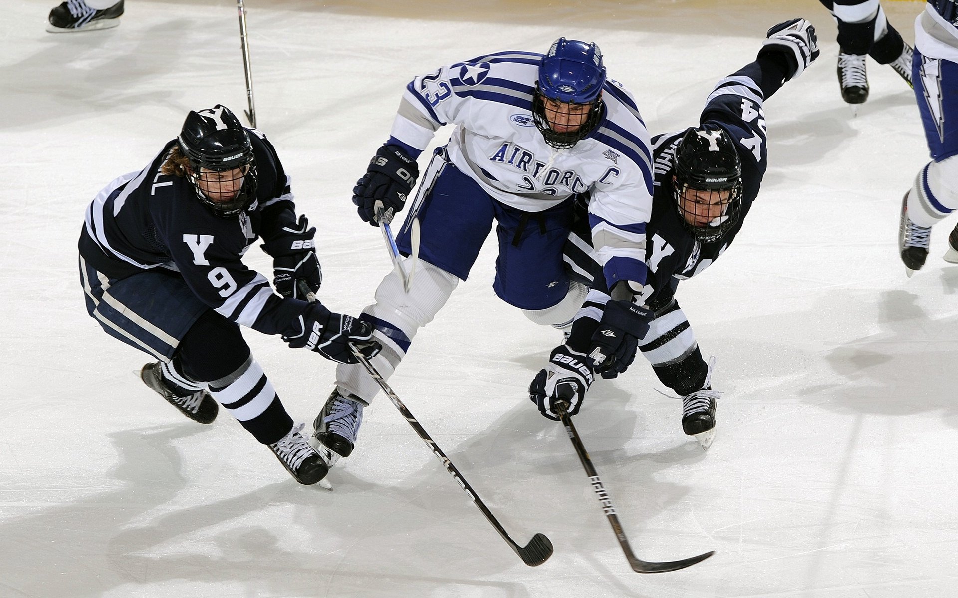 女子100混德国健将强势闯关，德国女子健美大赛